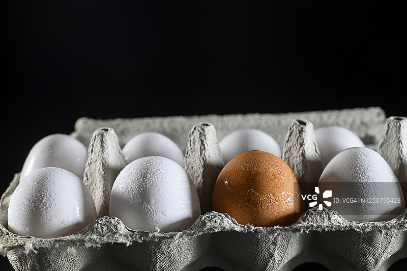 白色鸡蛋之间的一个黑鸡蛋图片素材