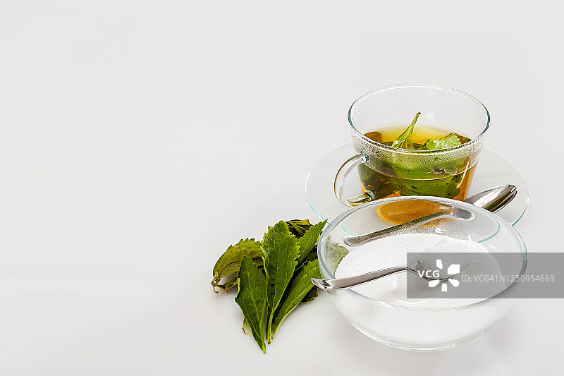 甜叶菊图片素材