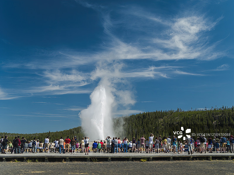 观看老忠实间歇泉，黄石国家公园图片素材