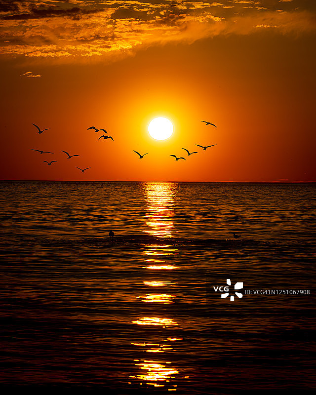 长岛北福克日落图片素材