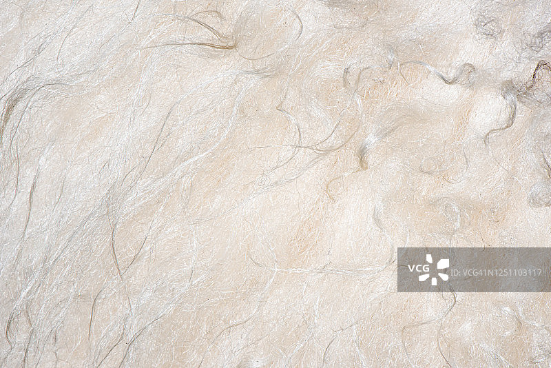 白色羊皮特写图片素材