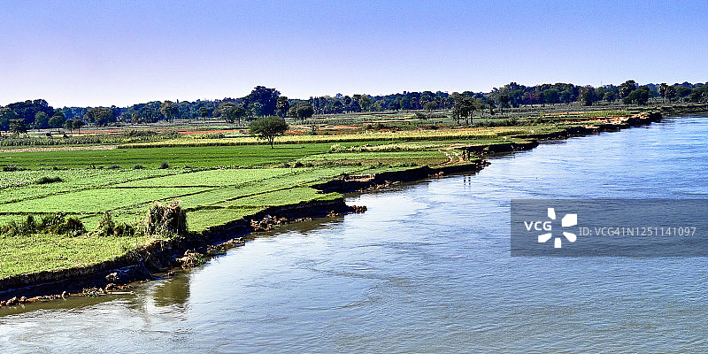 印度恒河支流胡格利河沿岸的稻田图片素材