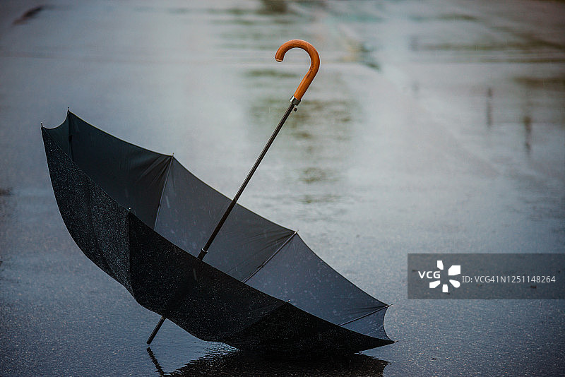 雨中的雨伞图片素材