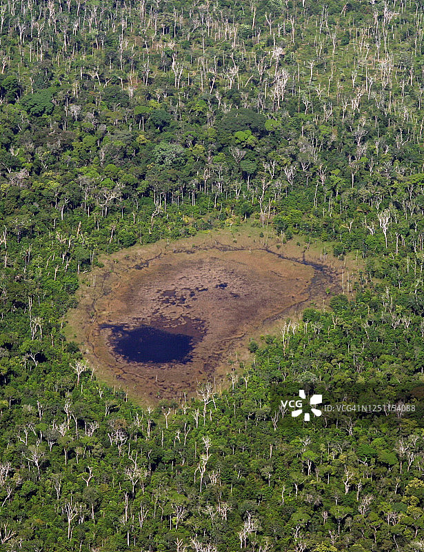 亚马逊雨林图片素材