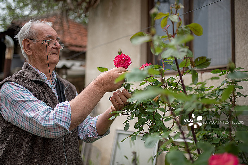 老人居家日常图片素材