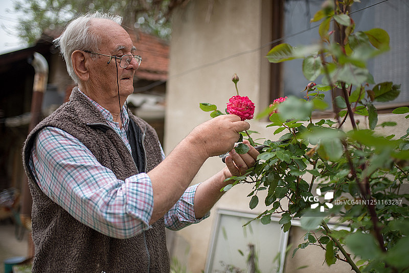 老人居家日常图片素材
