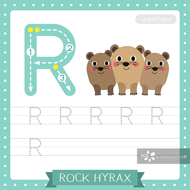 R字母大写描摹练习表：岩狸科图片素材