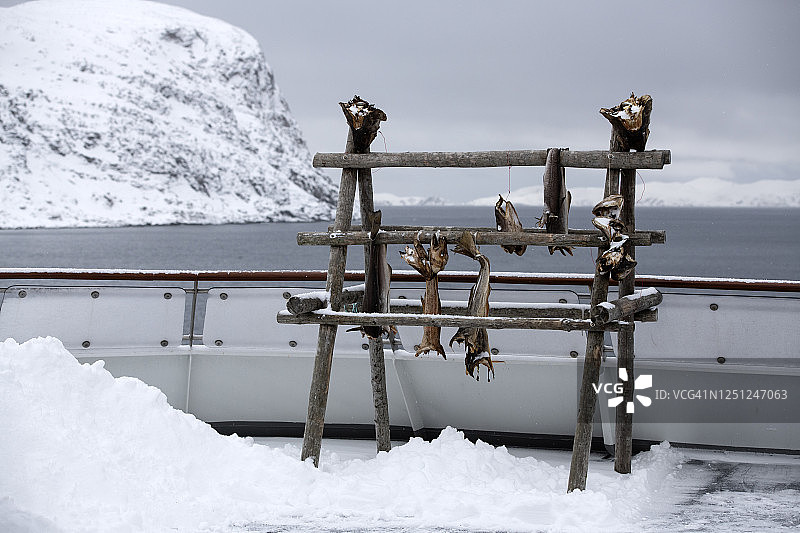 挪威北部哈沃于松附近北冰洋的渡轮上晾晒的鳕鱼图片素材