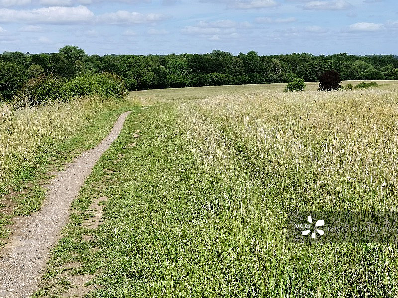 草地牧场图片素材