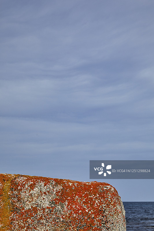 海岸岩石上的彩色地衣图片素材