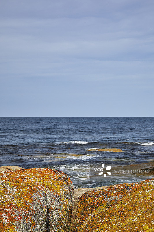 海岸岩石上的彩色地衣图片素材