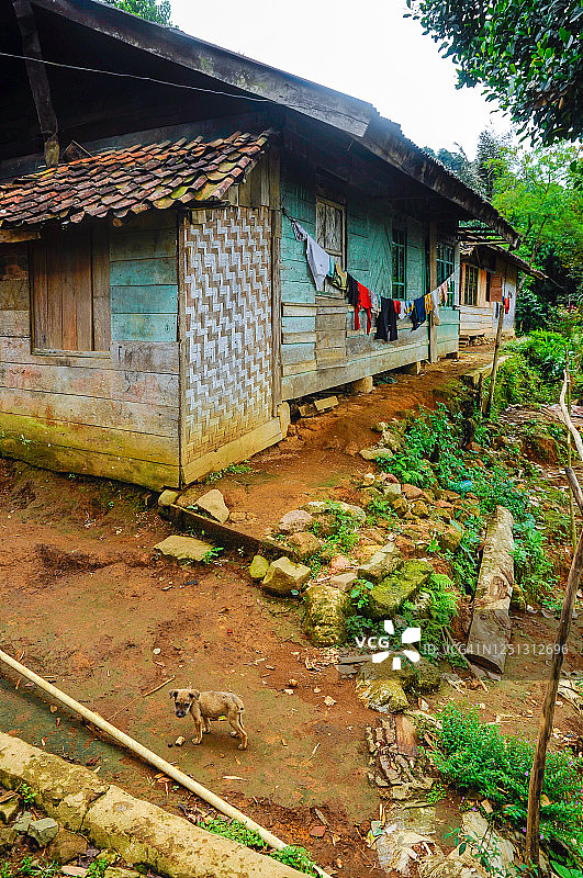 印度尼西亚马拉萨里乡村的典型房屋，位于西爪哇茂物图片素材