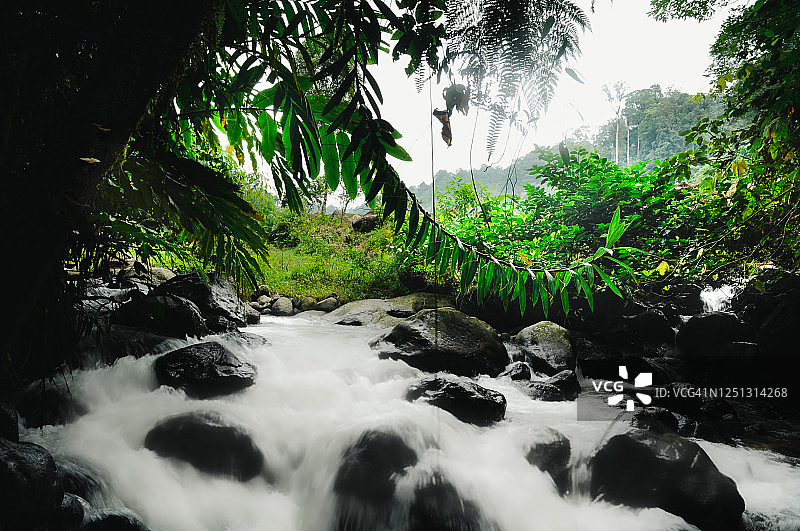 印度尼西亚丛林中带有黑色岩石的美丽河流图片素材