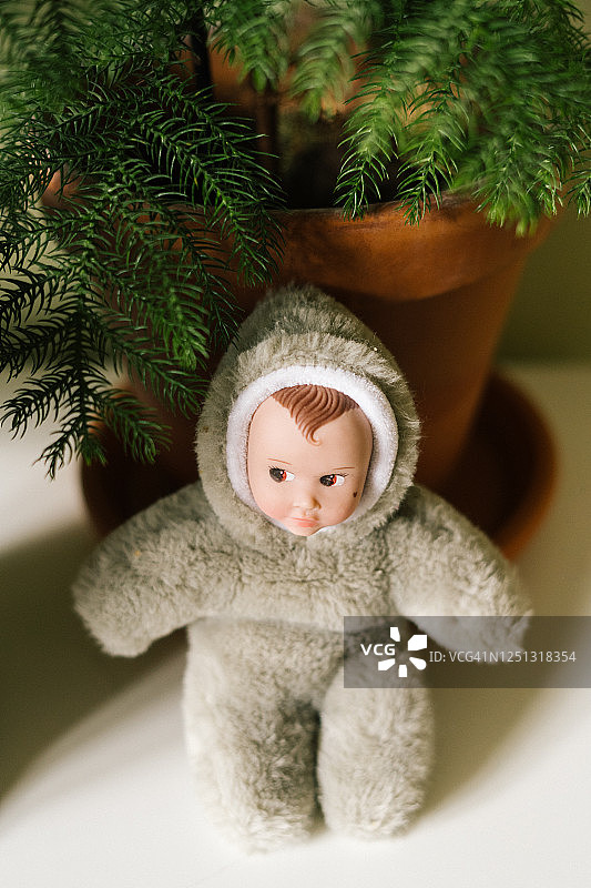 室内植物旁的毛绒玩具娃娃图片素材
