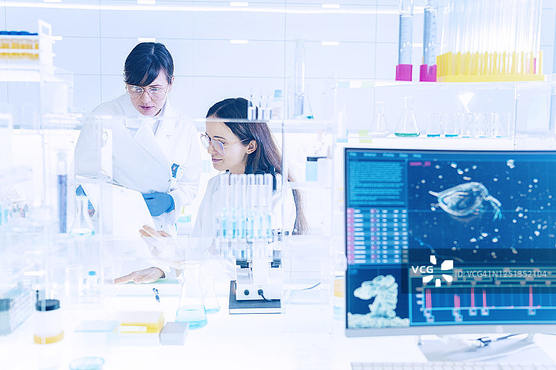 实验室中的科学家团队，电脑屏幕上的水蚤图片素材