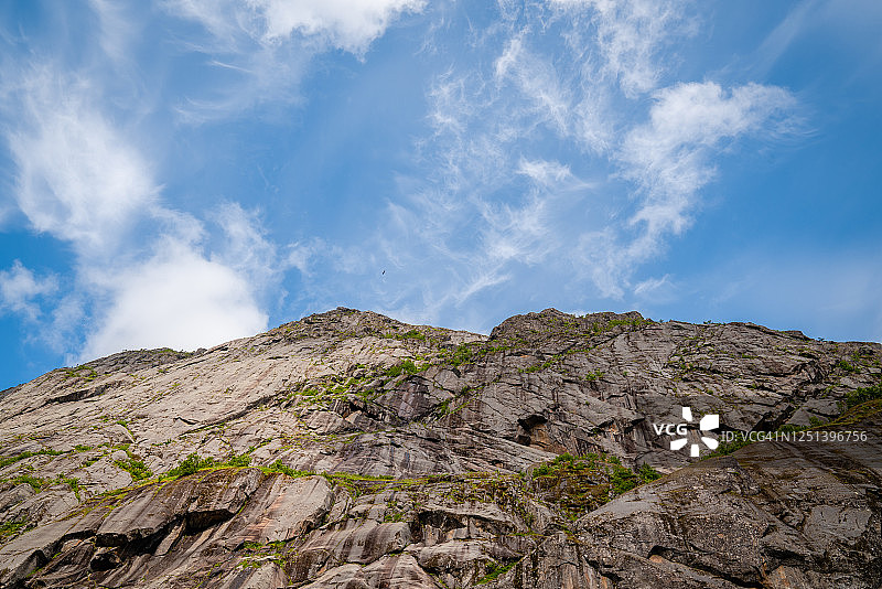 在挪威斯沃尔韦尔悬崖上空飞翔的老鹰图片素材