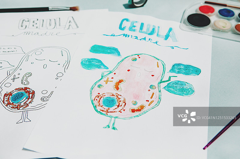 生物学笔记图片素材