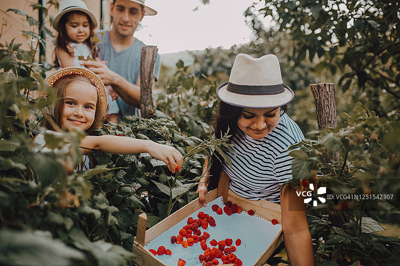 一家人享受花园图片素材
