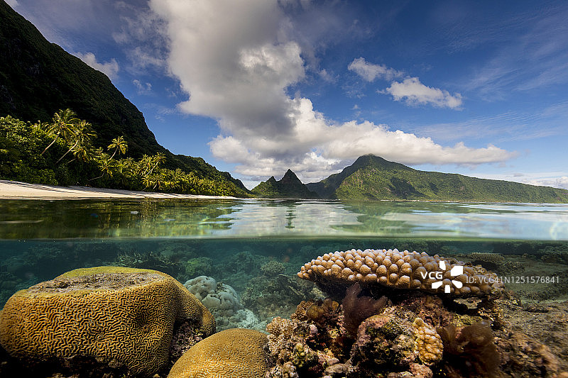 美属萨摩亚国家公园奥富岛的珊瑚礁图片素材