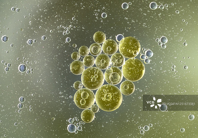 金色液体背景上的气泡和水滴纹理抽象形状图片素材