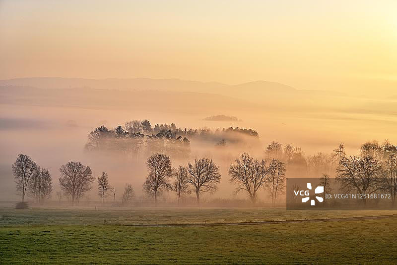 瑞士阿尔高州阿里斯陶罗伊斯塔尔地区的晨雾草地和树木图片素材