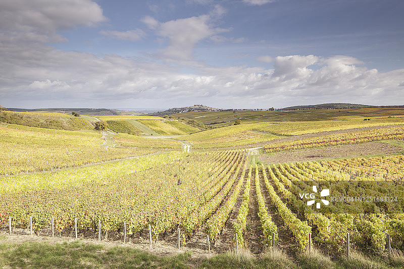 法国桑塞尔葡萄园的秋色图片素材