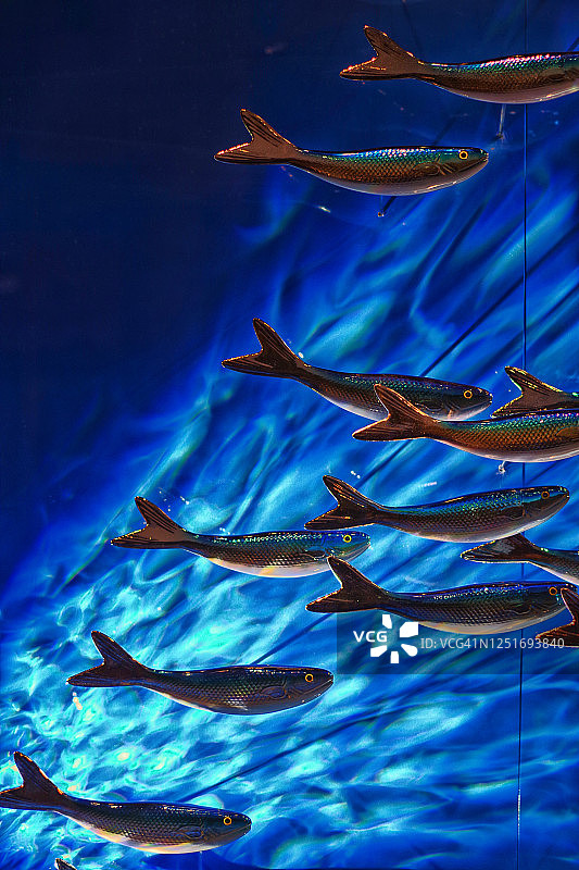 海中鱼类雕塑图片素材