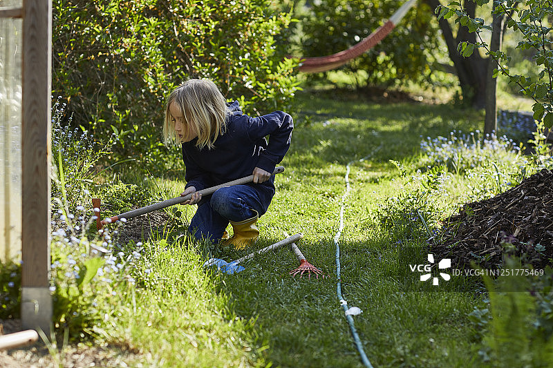 在分配的花园里用锄头工作的女孩图片素材
