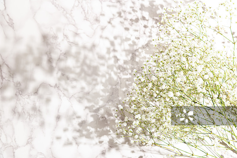 暗淡的干花图片素材