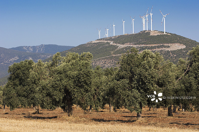 土耳其风力发电机图片素材