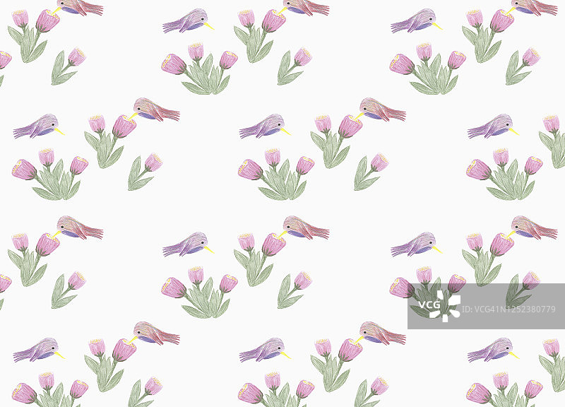 白色背景上的粉紫色蜂鸟和花朵图案图片素材