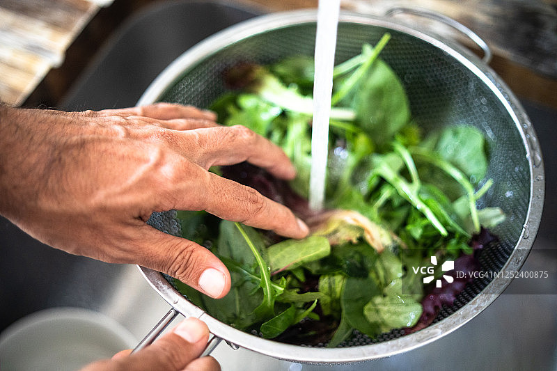 清洗绿叶蔬菜图片素材