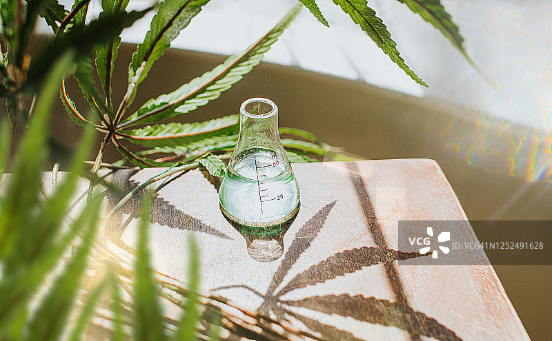 阳光下的含有大麻提取物的锥形瓶图片素材