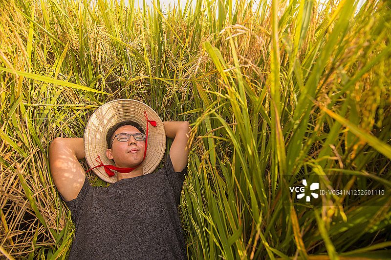 在稻田里休息的中国农民图片素材