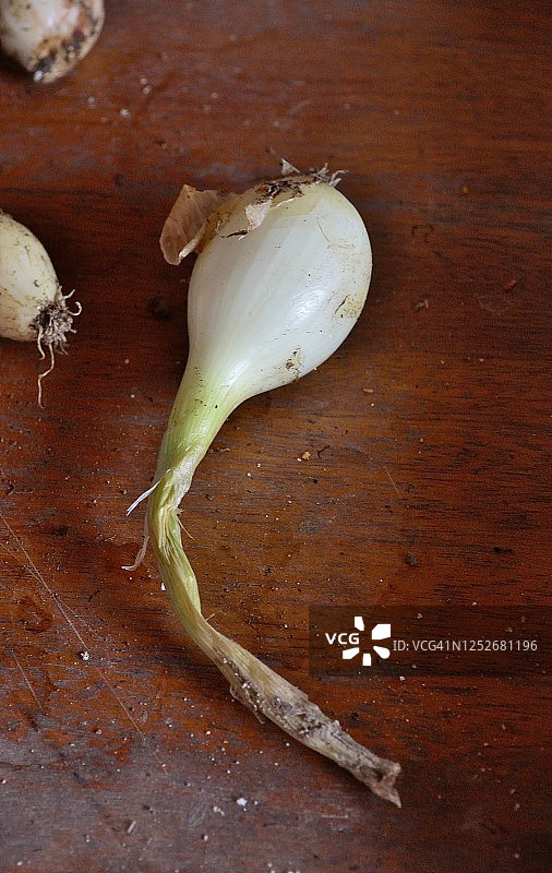 圣安东尼奥小路，图塔，博亚卡图片素材