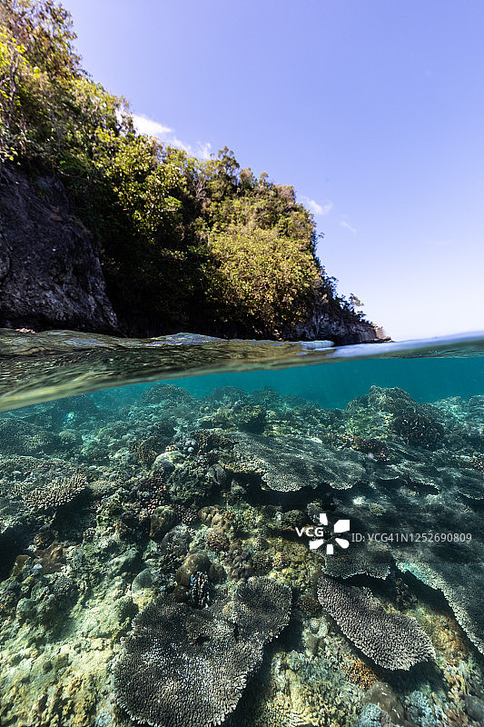 珊瑚礁和陆地的分割视图图片素材