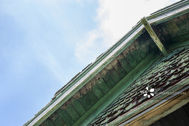 崖燕及其壶状泥巢图片素材