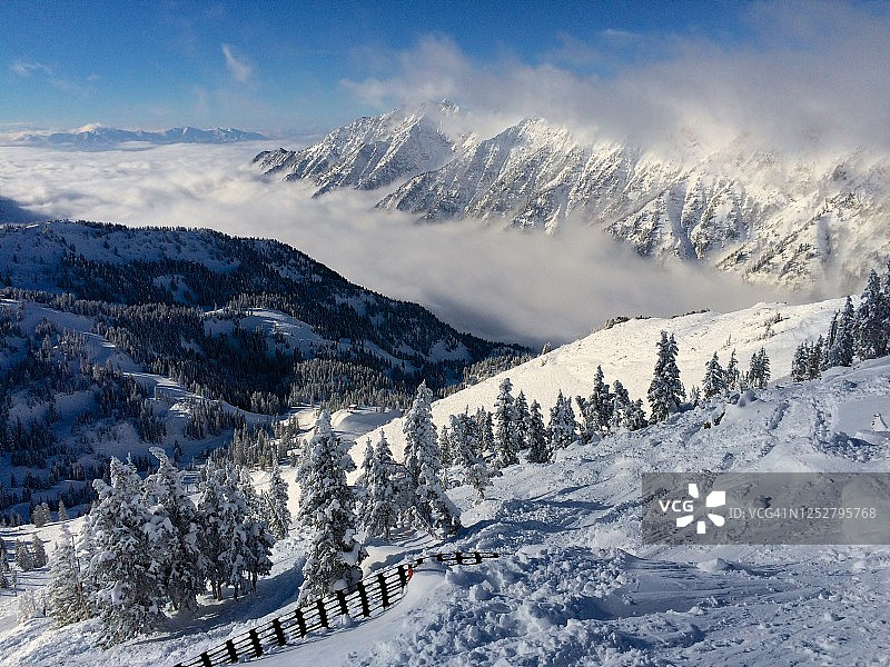 粉雪滑雪板，雪鸟，犹他州图片素材