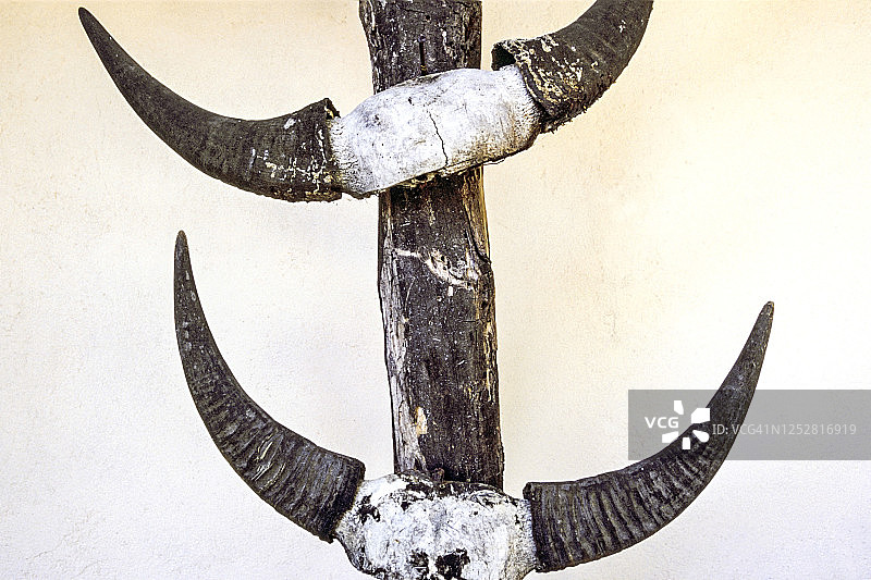 印度尼西亚水牛角图片素材