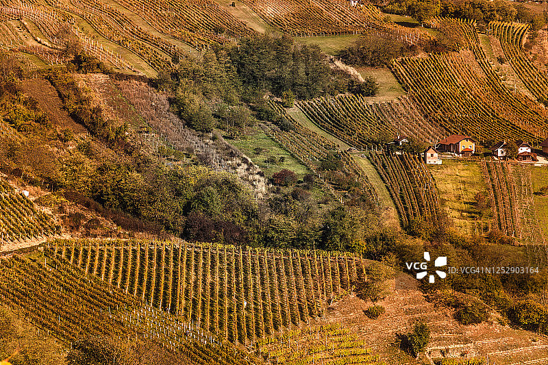伦达瓦葡萄园图片素材