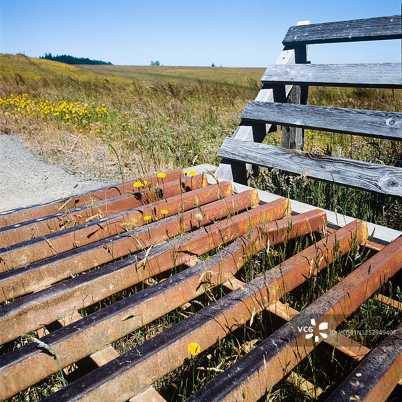 碎石路上的牛防护栏图片素材
