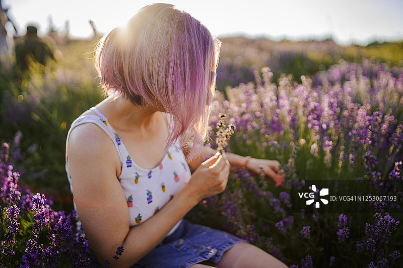 今年夏天是薰衣草色图片素材