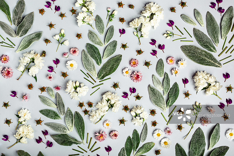 浅灰色背景上的花卉图案图片素材