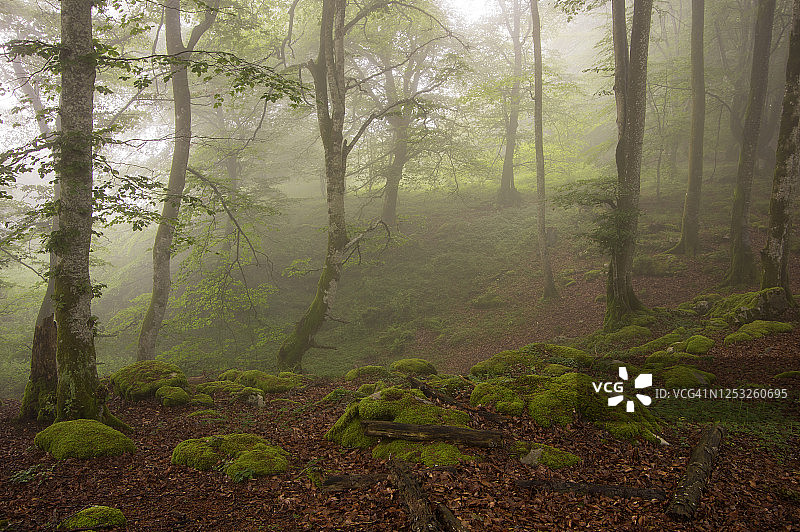 圣地亚哥山自然纪念碑，布尔戈斯，西班牙图片素材