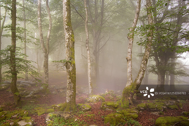 圣地亚哥山自然纪念碑，布尔戈斯，西班牙图片素材