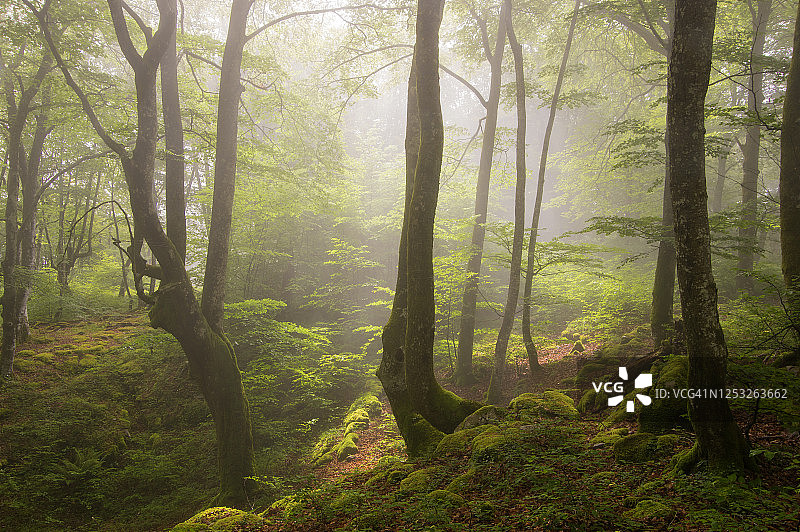 圣地亚哥山自然纪念碑，布尔戈斯，西班牙图片素材