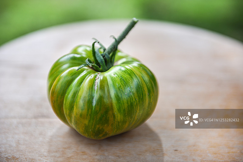 花园采摘的新鲜绿色斑马番茄图片素材