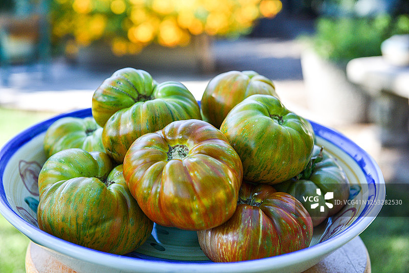 一碗从花园新鲜采摘的绿色斑马传家宝番茄图片素材