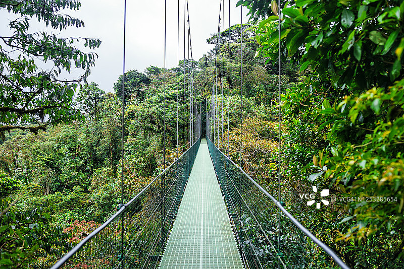 哥斯达黎加蒙特维德的悬索桥图片素材
