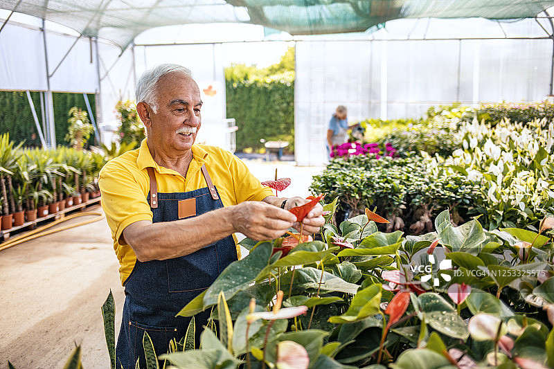 大家都喜欢鲜花图片素材